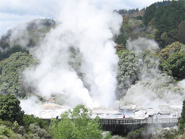 Pohutu geyser at Te Whakarewarewa