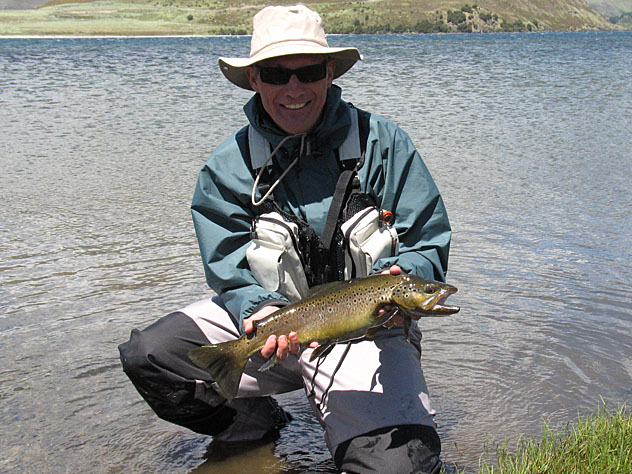 Lake Wanaka brown trout